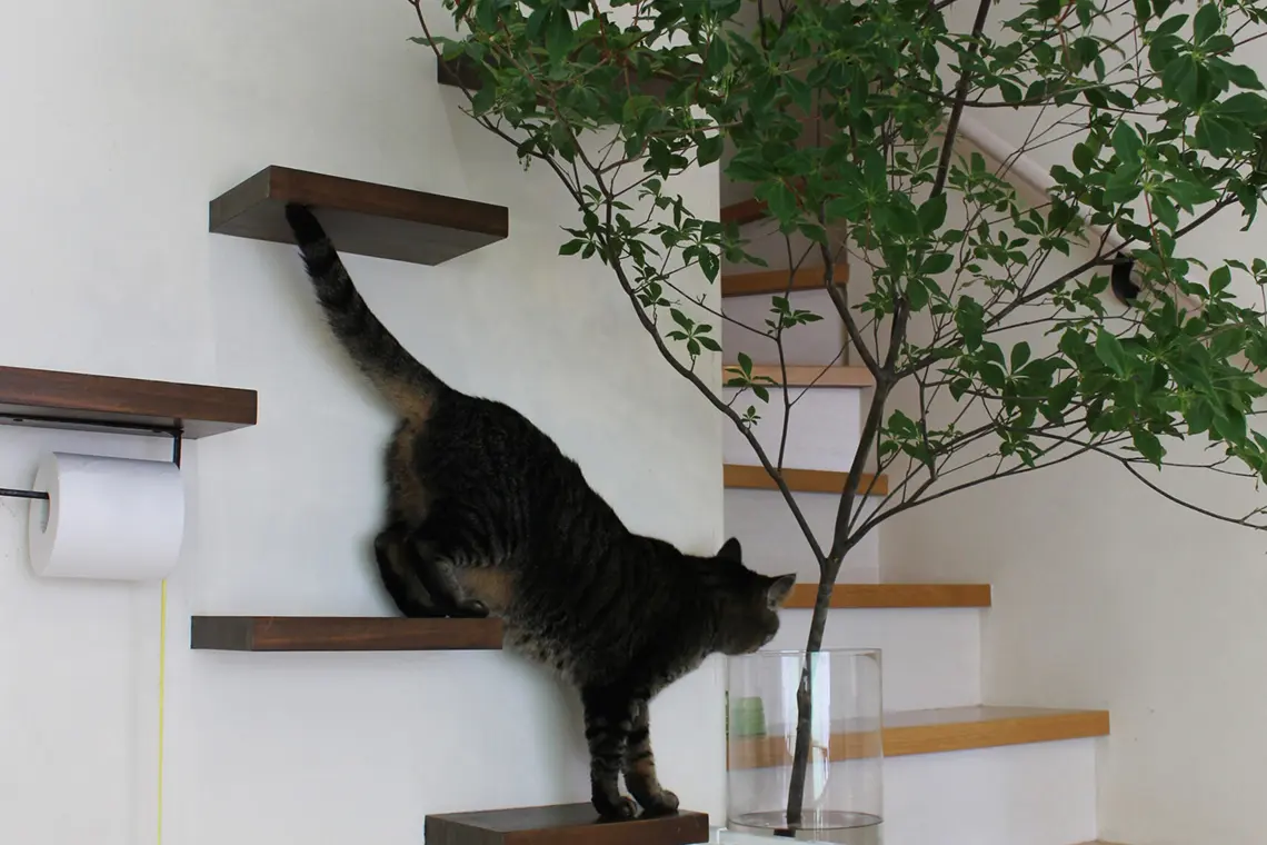 Tさまご家族のイラスト